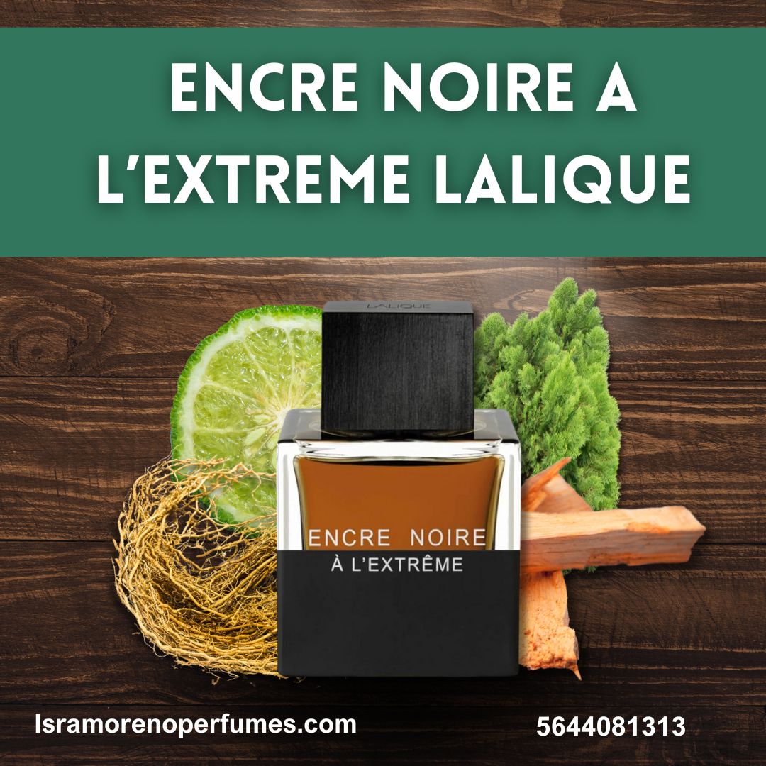 LALIQUE ENCRE NOIR A`LEXTRÉME